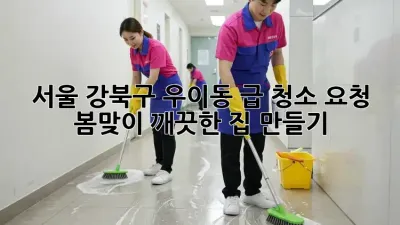 서울 강북구 우이동 급 청소 요청? 봄맞이 깨끗한 집 만들기