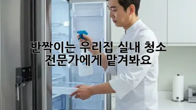 반짝이는 우리집, 실내 청소 전문가에게 맡겨봐요! ✨